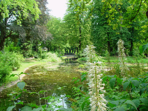 Bild von der Wasserfläche im Schönhausenpark mit Brücke im Hintergrund