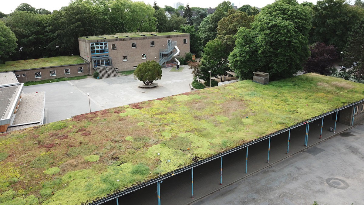 Blick auf das begrünte Dach der Bismarckschule an der Bismarckstraße.Foto: Stadt Krefeld, Presse und Kommunikation