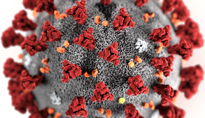 Computer-Rendering des SARS-CoV-2-Virus.  Foto: CDC/ Alissa Eckert, MS; Dan Higgins, MAM / Public domain