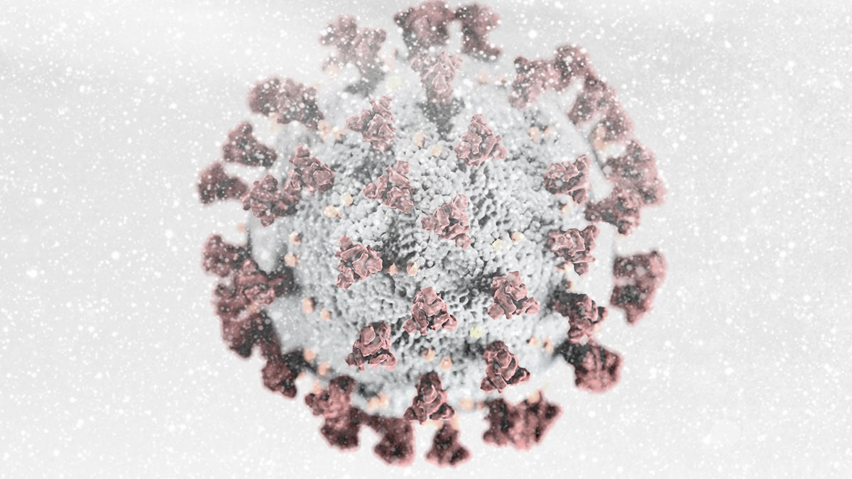 Computer-Rendering des SARS-CoV-2-Virus - im Schneegestöber.  Foto: CDC/ Alissa Eckert, MS; Dan Higgins, MAM / Public domain