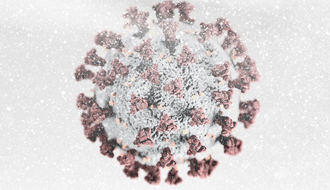 Computer-Rendering des SARS-CoV-2-Virus - im Schneegestöber. Foto: CDC/ Alissa Eckert, MS; Dan Higgins, MAM / Public domain