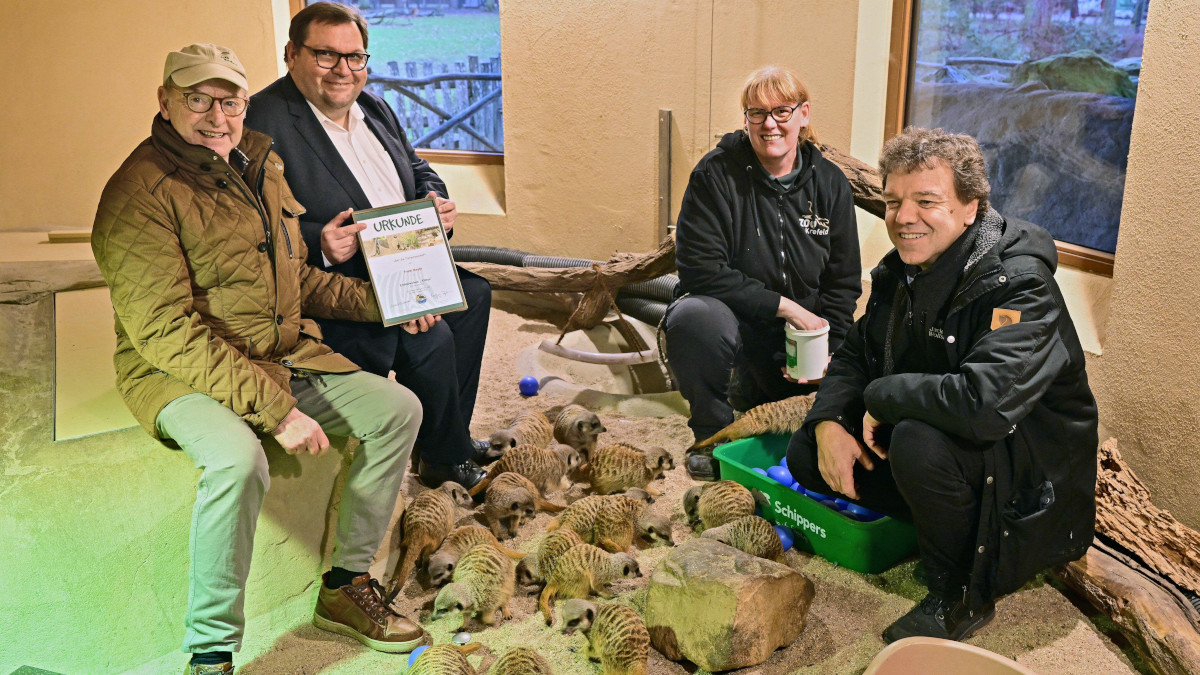 Oberbürgermeister Frank Meyer hat eine Tierpatenschaft für das Erdmännchen Kimya im Krefelder Zoo übernommen.  Foto: Stadt Krefeld, Presse und Kommunikation
