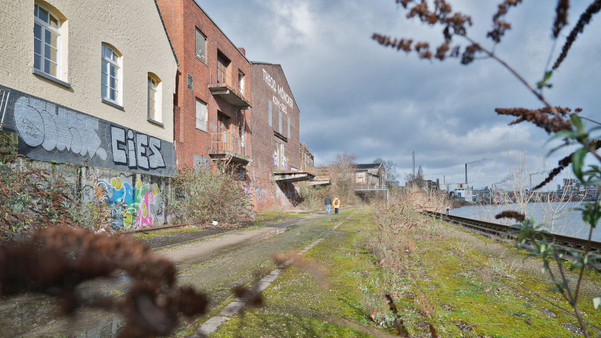 Schon jetzt werden die provisorischen Wege gerne zum Flanieren genutzt. Bild: Stadt Krefeld, Presse und Kommunikation, Andreas Bischof