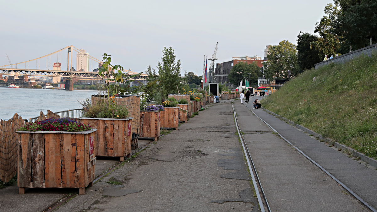 Ingesamt drei Hektar Fläche sollen an der Rheinpromenade neu gestaltet werden. Bild: Stadt Krefeld, Presse und Kommunikation