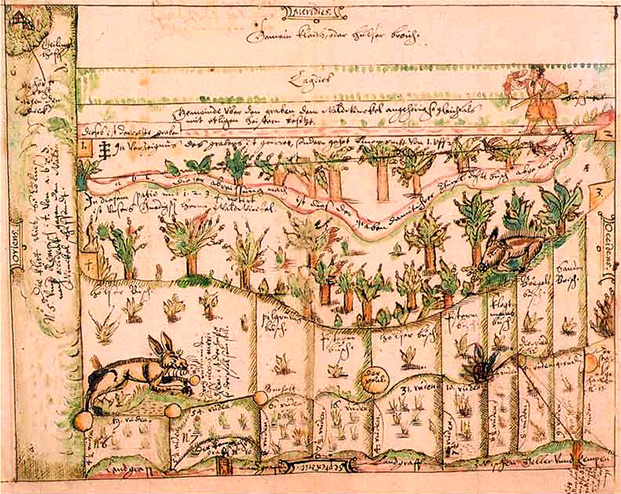 Karte mit Grundstücksgrenzen, Pflanzen und Tieren aus dem Norden Krefelds