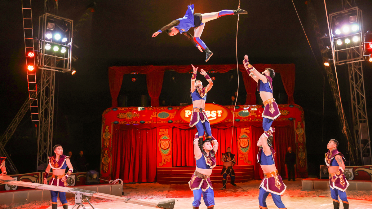 Der Krefelder Weihnachtscircus kommt mit vielen Artisten zu seinem Gastspiel. Foto: Circus Probst